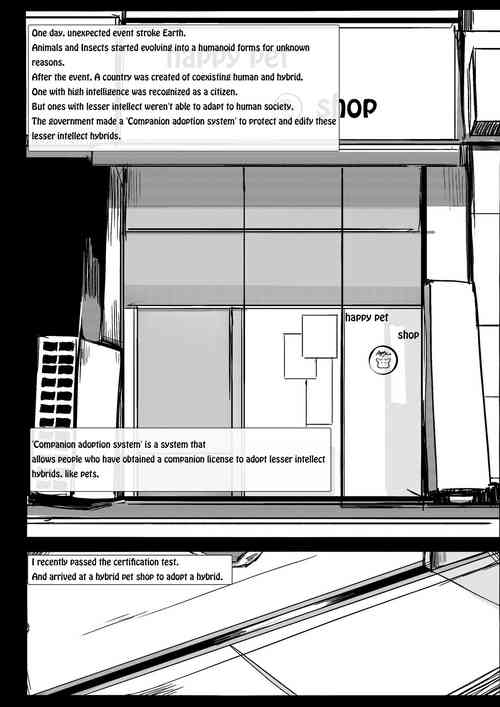 Download happy pet shop 1