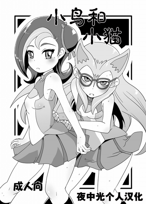 [HellDevice (nalvas)] Kotori to Koneko 小鸟和小猫(Yu-Gi-Oh! Zexal)[Chinese] [夜中光个人漢化] [Digital]
