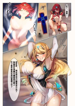 Page 10 of Xenoblade 2 Homura & Hikari Nottori