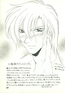 Page 25 of Seisen no keifu 3