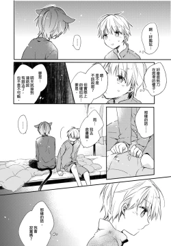 Page 19 of Hirotta Neko wa Nikushoku Deshita | 捡来的猫咪是肉食性 Vol. 1
