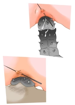 Page 59 of S-DOG Choubatsu Hari no Batsu