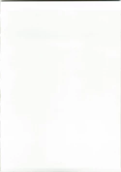 Page 2 of Tokumori Parupunte Draque Soushuuhen