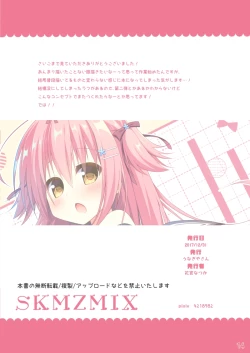 Page 12 of SKMZMIX