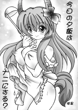 Page 68 of Touhou Sourenge