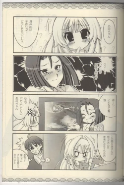 Page 3 of Seto no Hanamuko