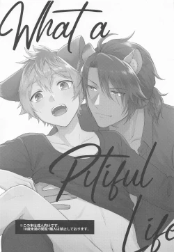 Page 2 of WHAT A PITIFUL LIFE