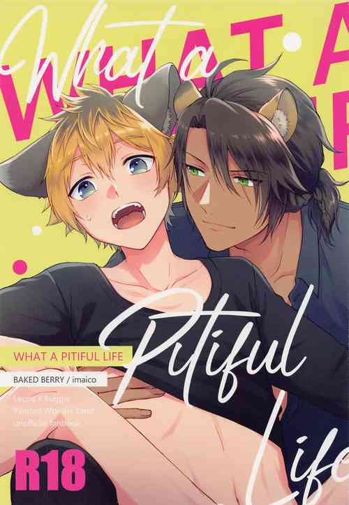 Download WHAT A PITIFUL LIFE