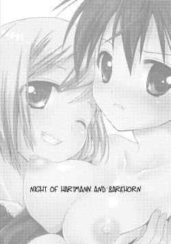 Page 2 of Hartmann to Barkhorn no Yoru | Night of Hartmann and Barkhorn