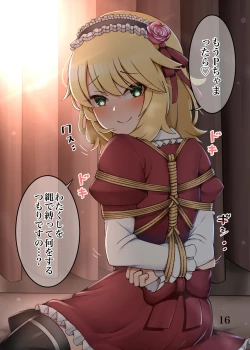 Page 17 of デ●マス緊縛・拘束まとめ本