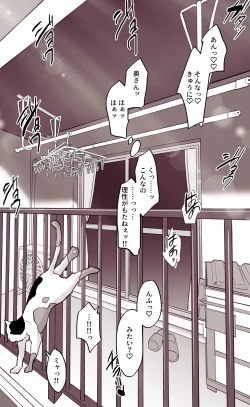 Page 4 of 真夏の昼下がりの団地妻
