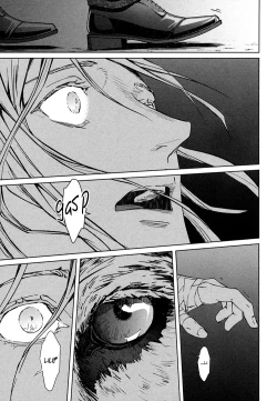 Page 109 of Coyote II