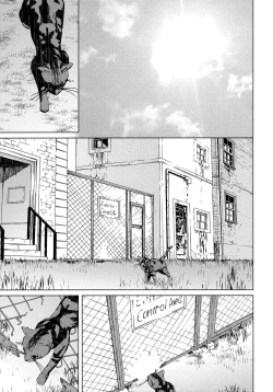 Page 31 of Coyote II