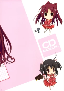 Page 34 of CD RADICAL