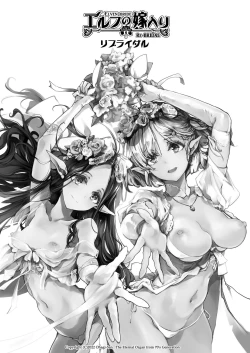 Page 2 of Elf no Yomeiri Re-Bridal