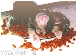 Page 11 of Kiss in the blue