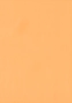 Page 4 of Nakigoe kiite