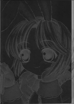 Page 3 of PRIMULA Rosea