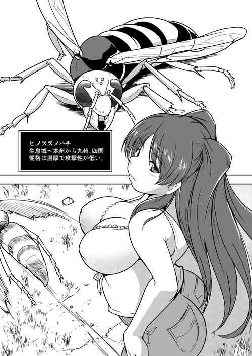 Download Tamaki X Suzumebachi SS