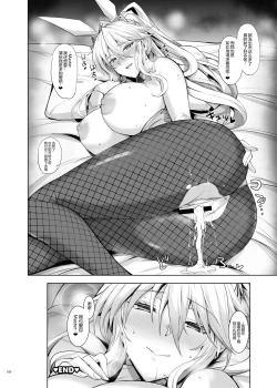 Page 10 of Lancer Artoria