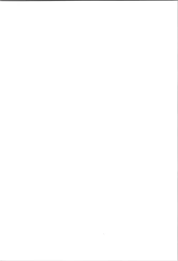 Page 2 of Akane ga Ranma ♀ ni Zokkon na Ken