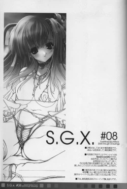 Page 3 of S.G.X. #08