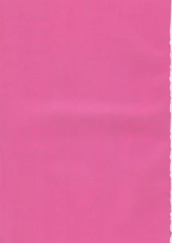 Page 3 of Pretty Girl Confinement File 3