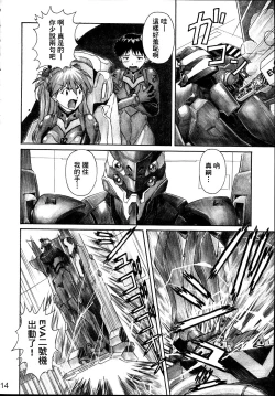 Page 13 of NERV no Ichiban Nagai Hi