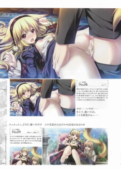 Page 110 of Madou KoukakuPerfect Guidebook