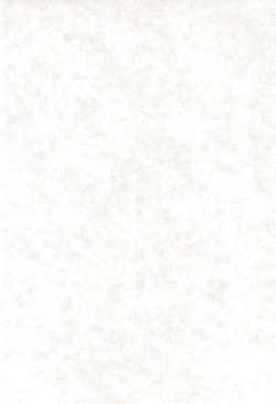 Page 4 of Yurikamome