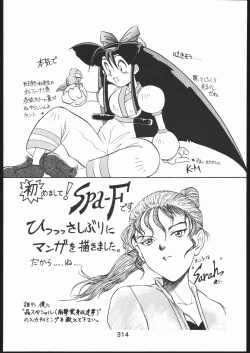 Page 313 of KATZE 10