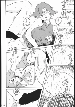 Page 233 of KATZE 11