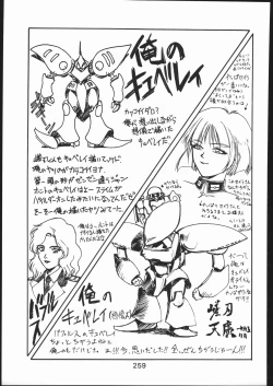 Page 258 of KATZE 11