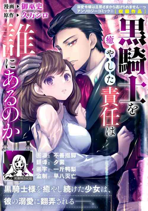 Download kuro kishi o iyashita sekinin wa dare ni aru no ka | 该由谁负起治愈黑骑士的责任