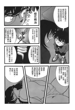 Page 30 of 成人侦探柯南13