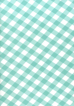 Page 3 of Shoujiki ii na yo? Mai-chan!