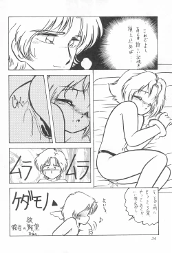 Page 34 of Hyper TWIN CAST