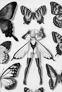 Page 40 of Bondage Fairies Vol. 1