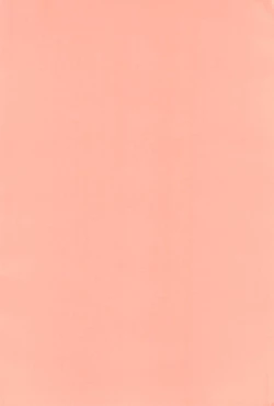 Page 4 of LOVE FLASH FEVER