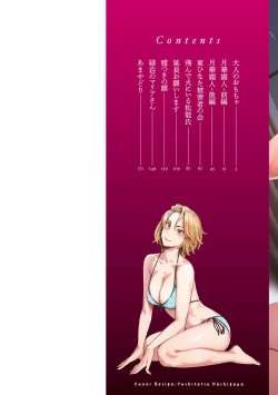 Page 3 of Getsukabijin