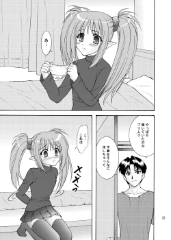 Page 23 of Primula Primula