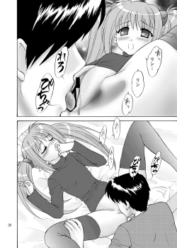 Page 26 of Primula Primula