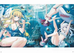 Page 223 of Sankai Ou no Yubiwa Perfect Guidebook