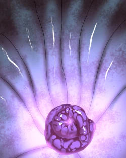 Page 28 of Komon no-ka