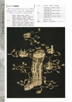 Page 134 of Fuukan no Grasesta Perfect Guidebook