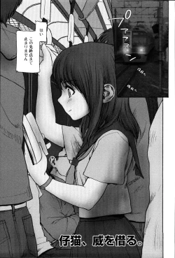 Page 146 of Stripe cats