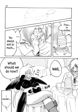 Page 21 of SLAYERS ADULT 5