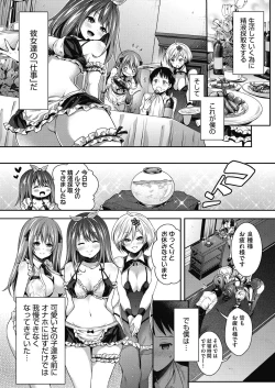 Page 12 of Harem Maid no Damedame Ecchi