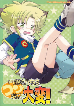 Download Tsukino-san Chi wa Konnani Taihen!!