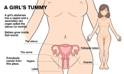 Page 14 of Our Bodies-2nd Edition